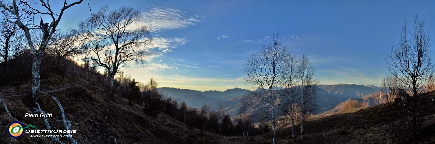 36 Betulle controluce sul sent. 531.jpg